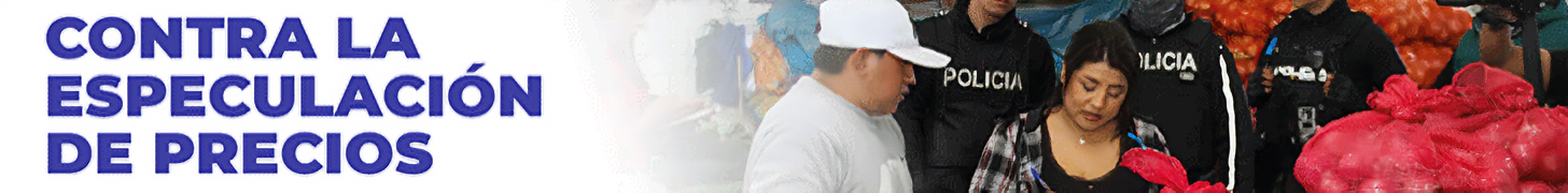 banner-03